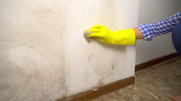 Best Emergency Mold Remediation  in Gordon, NE