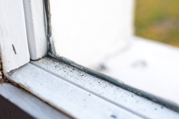 Best Mold Documentation for Insurance Claims  in Gordon, NE
