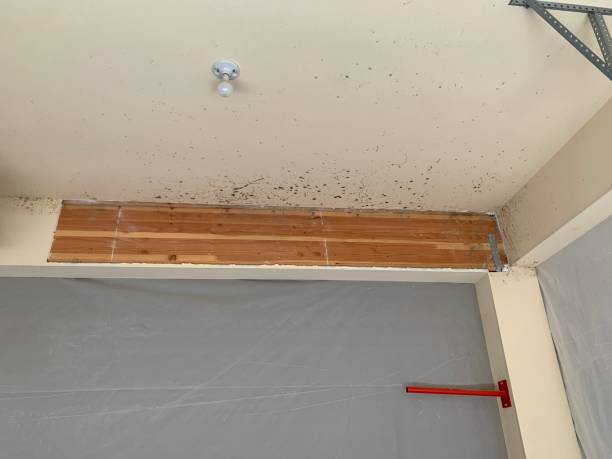 Best Real Estate Mold Inspection  in Gordon, NE