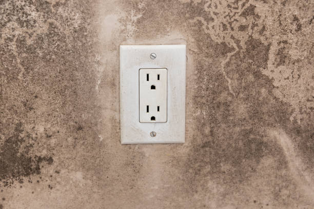  Gordon, NE Mold Removal Pros